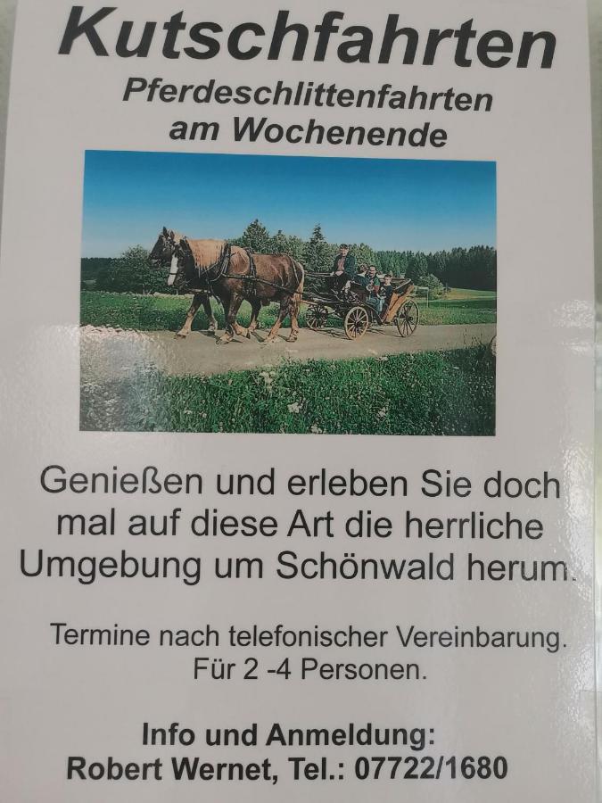 Ferienwohnung Schoene Wohnung 2D-Gebaeude Mit Mini-Garten Schönwalde Екстериор снимка