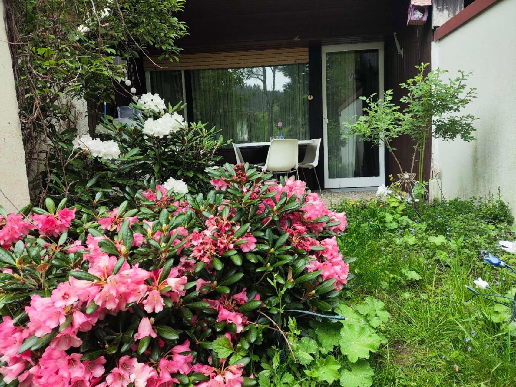 Ferienwohnung Schoene Wohnung 2D-Gebaeude Mit Mini-Garten Schönwalde Екстериор снимка